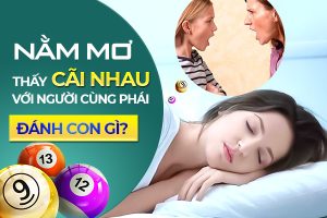 nam mo thay cai nhau voi nguoi cung phai
