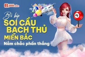 soi-cau-bach-thu-lo-mien-bac-300